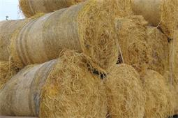 Grass Straw - Biomass Plant Shredder