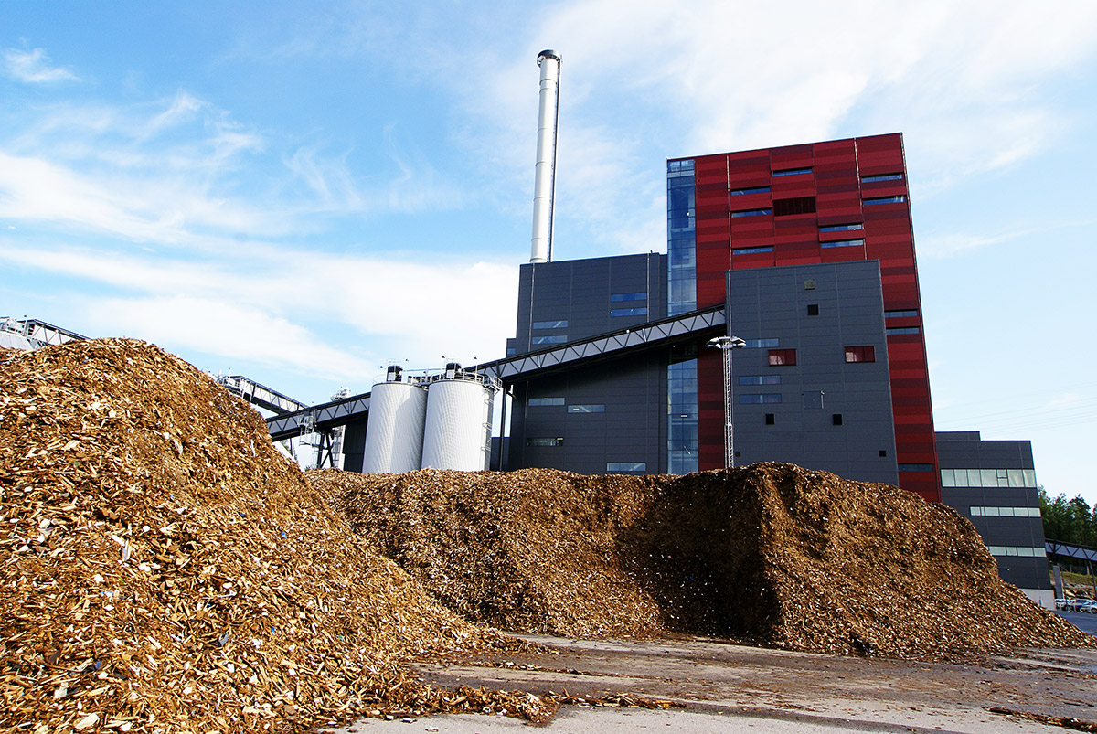 bio-power-plant-biomass.jpg